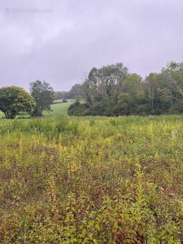 Terrain à SAINT-ONDRAS