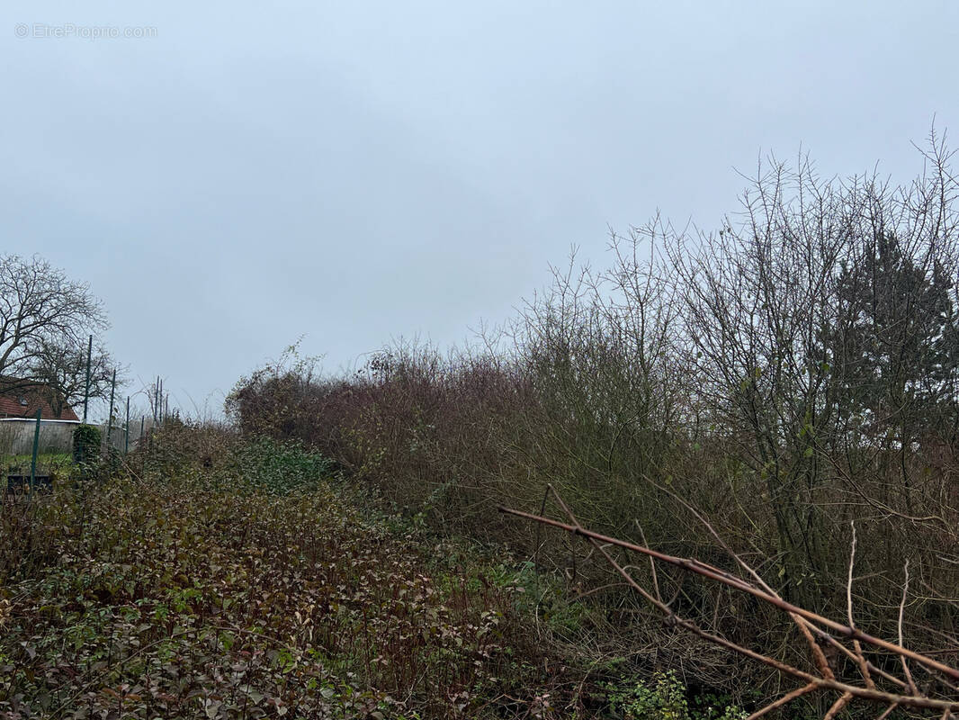 Terrain à VARANGEVILLE