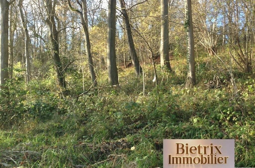Terrain à CHAMPAGNE-SUR-OISE