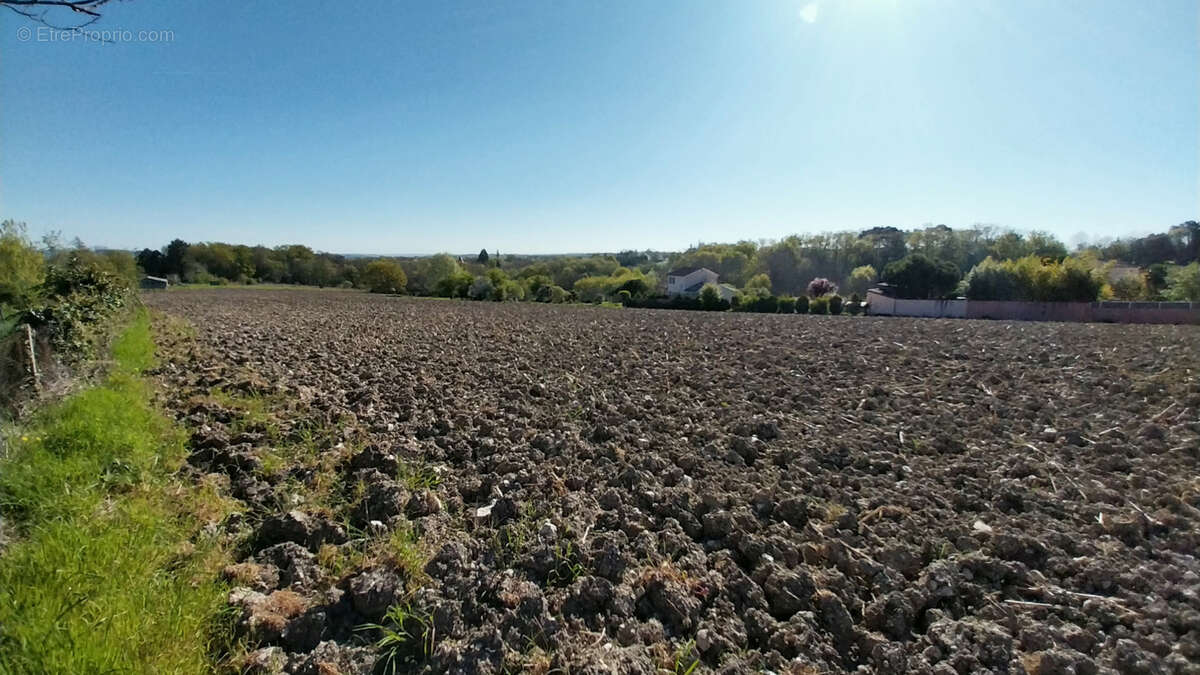 Terrain constructible pour un équipement collectif de 2,2 hectares - photo 5