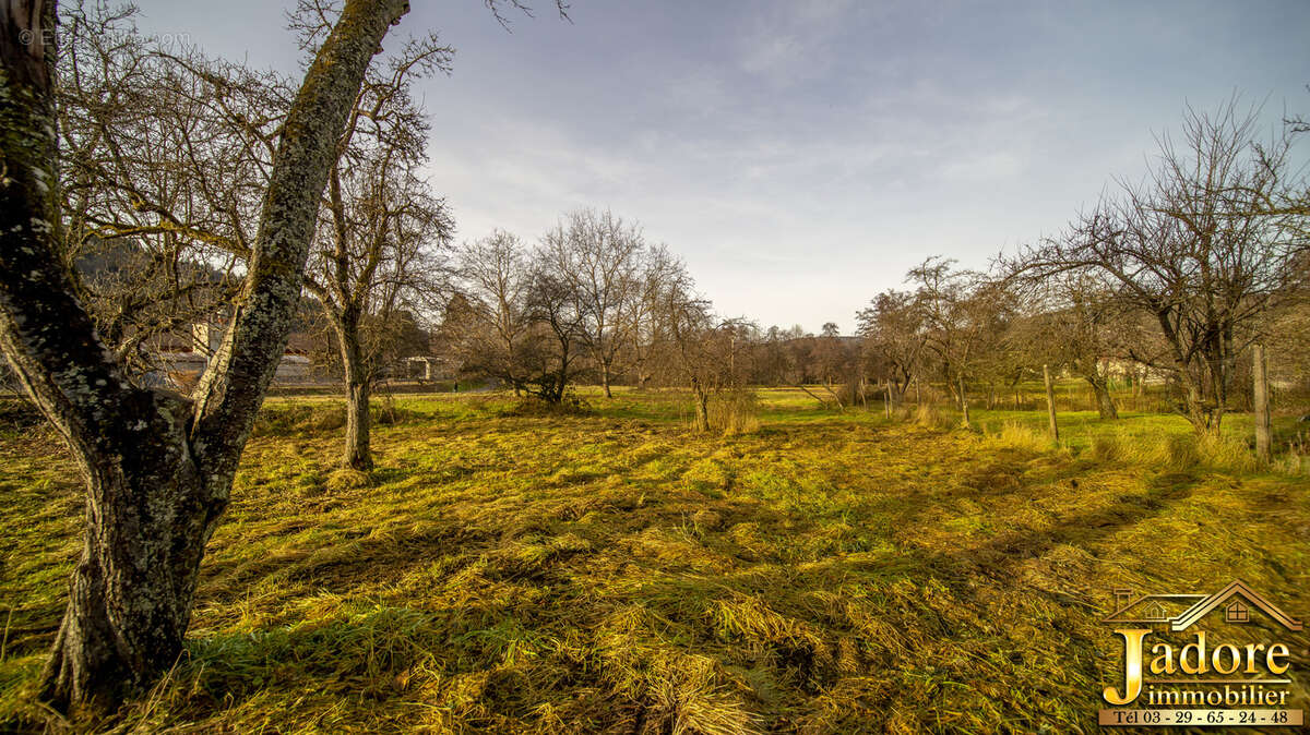 Appartement à PLAINFAING