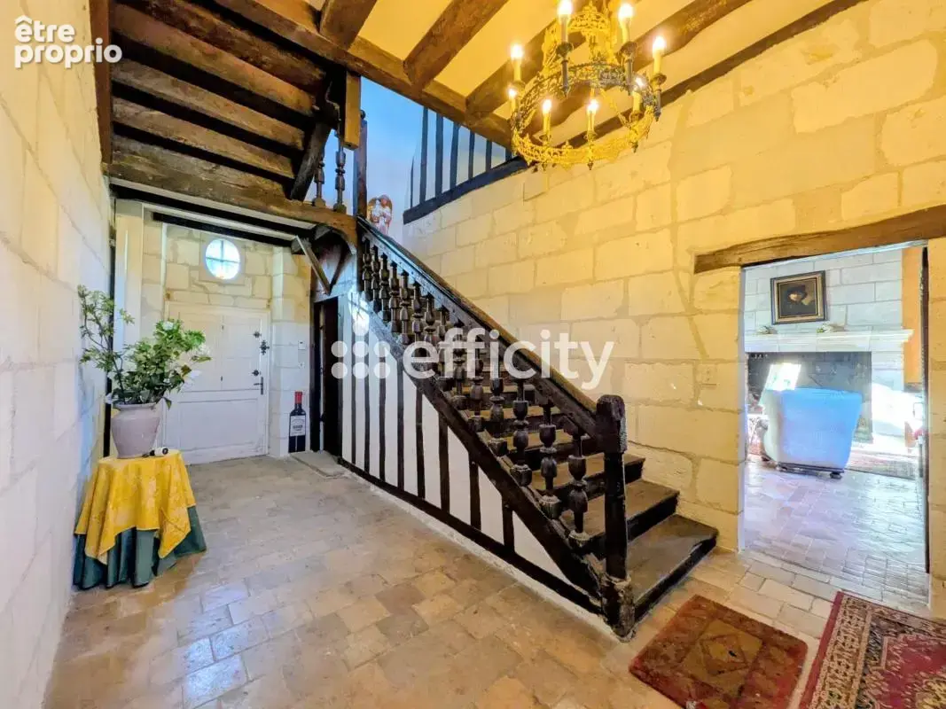 Maison 9 pièces 321 m² à vendre à Veigne (37250) - photo 2