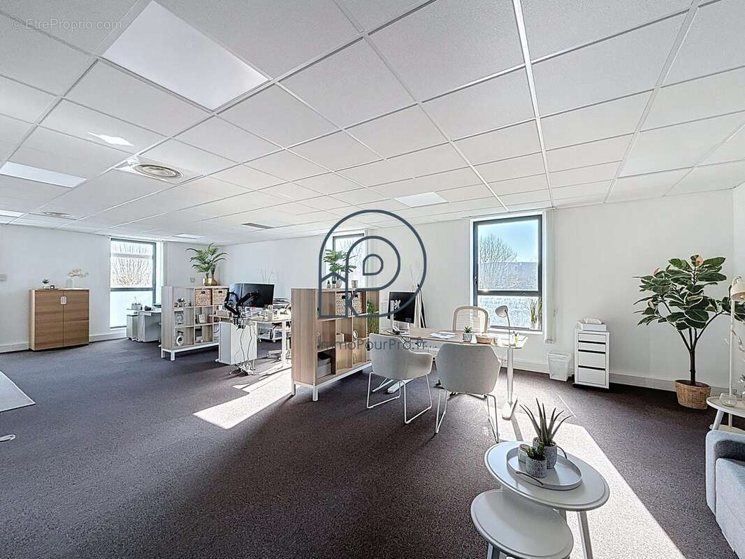 Commerce à VILLENEUVE-D&#039;ASCQ