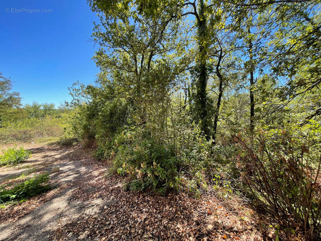 Maison à BRIVE-LA-GAILLARDE