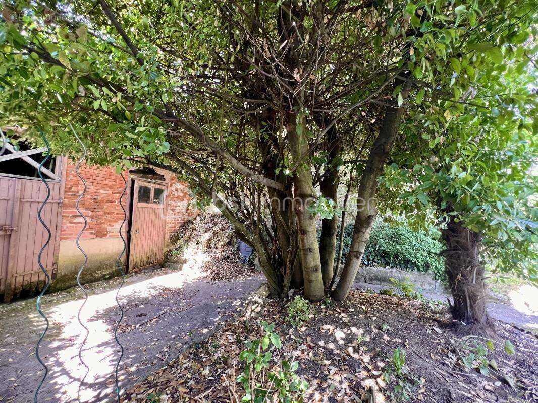 Exceptionnel ! Centre ville Poitiers. Appartement 2 chambres. Jardin - photo 12