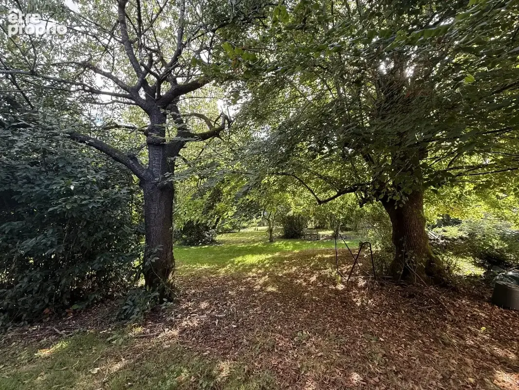 PIED PIED avec 4600m² Terrain bien arboré - photo 9