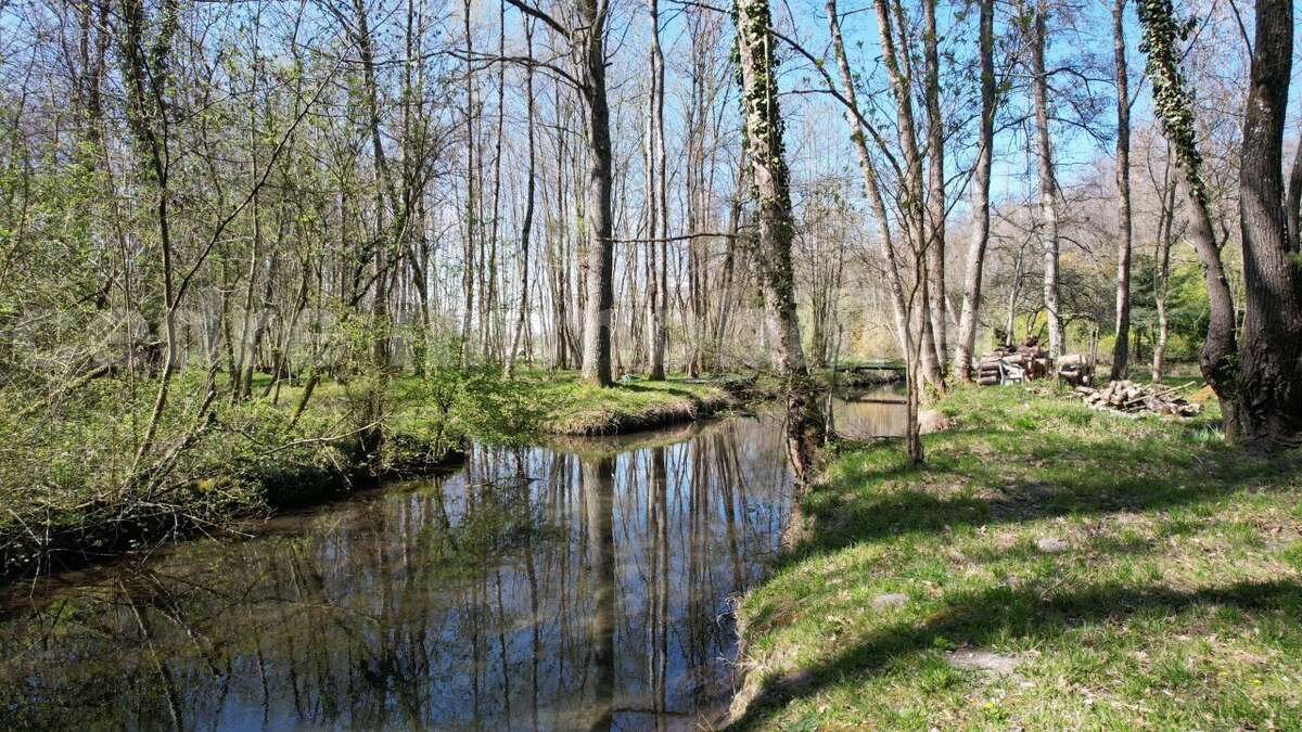 dji_fly_20230405_145352_778_1680705564614_photo - Maison à MEUNG-SUR-LOIRE