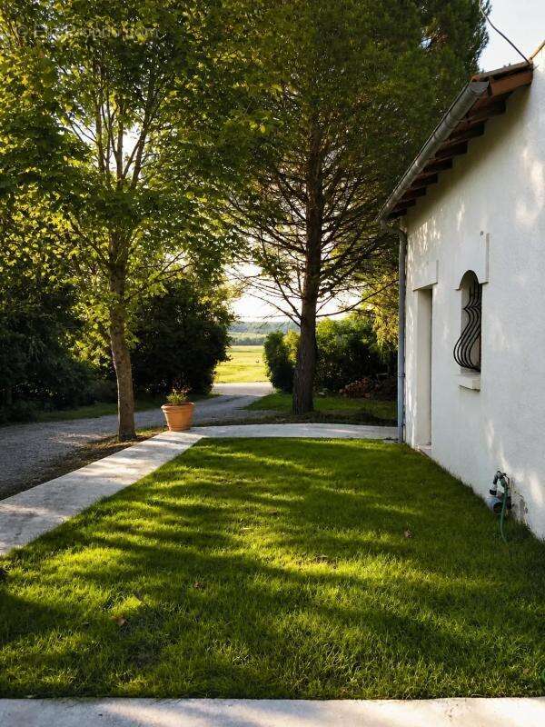 Maison de 9 pièces de 183 m² à Linars - photo 19