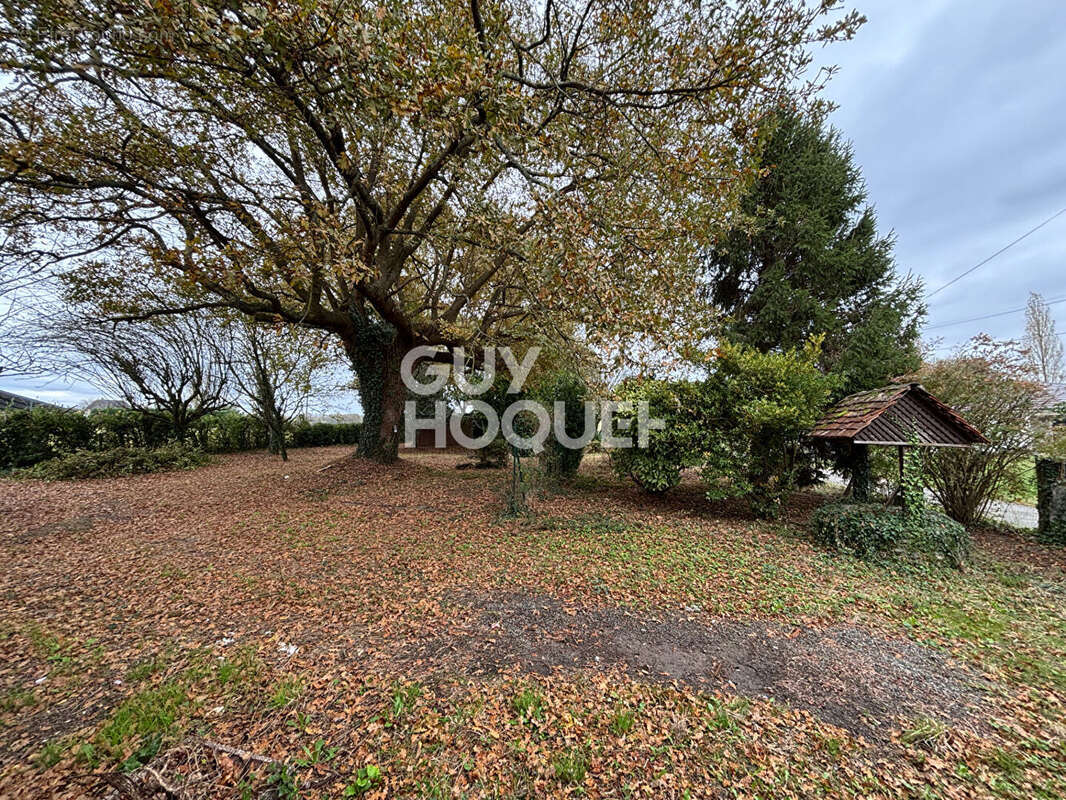 Maison à GEUS-D&#039;ARZACQ