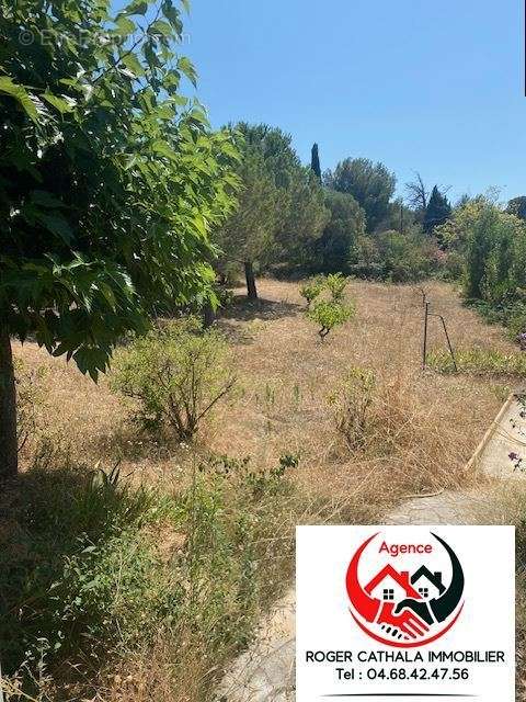Terrain à PORTEL-DES-CORBIERES