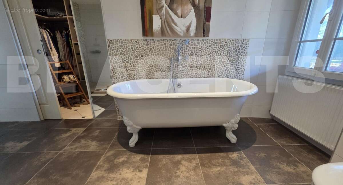 20251002_161434(1) - Maison à VIELMUR-SUR-AGOUT