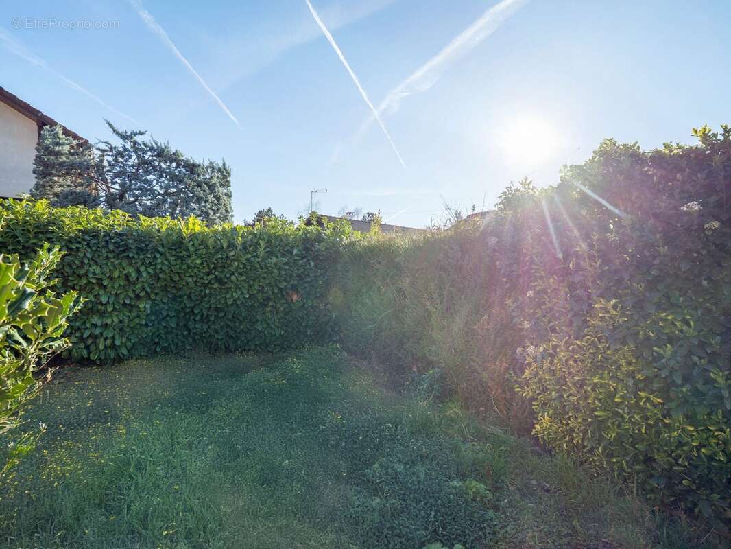 Jardin - Maison à THONON-LES-BAINS