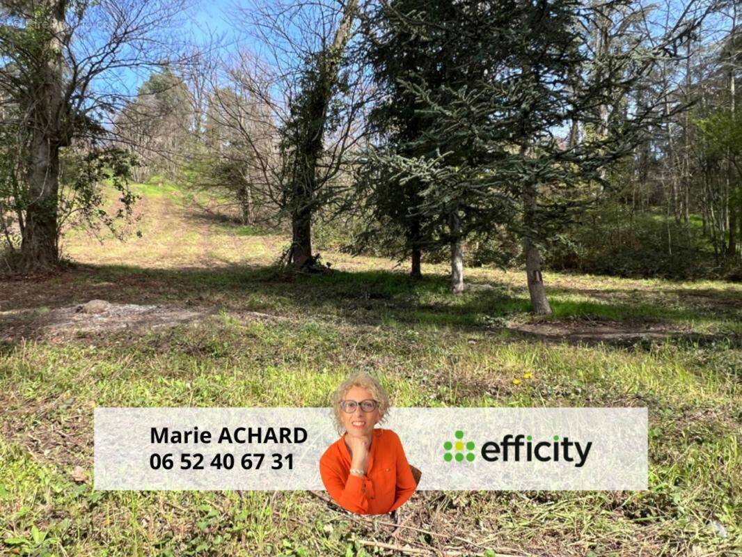 Terrain à SAINT-MARTIN-LA-PLAINE