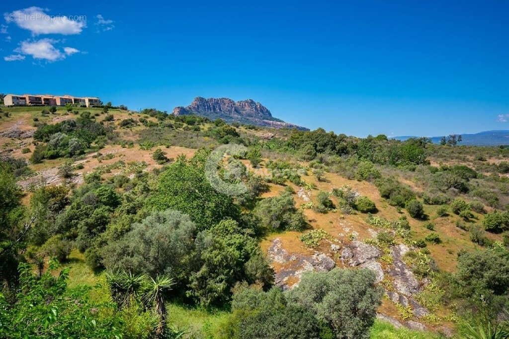 Maison à ROQUEBRUNE-SUR-ARGENS