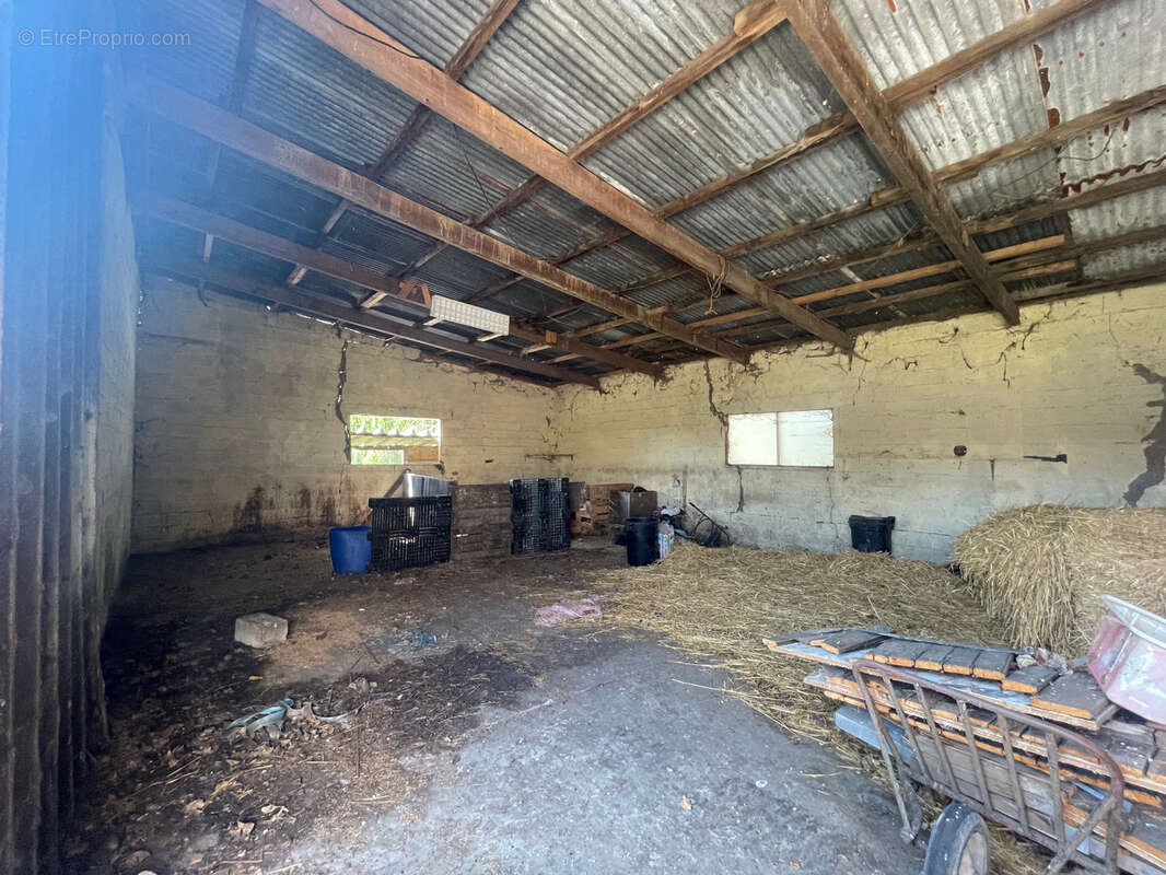 Hangar de stockage 250 m2 - photo 3