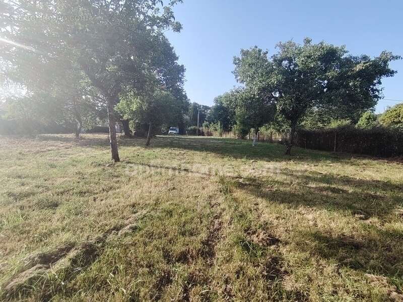 Terrain à vendre Guer (56) - 2930 m² dont 556m² constructibles - EXCLUSIVITÉ - photo 2