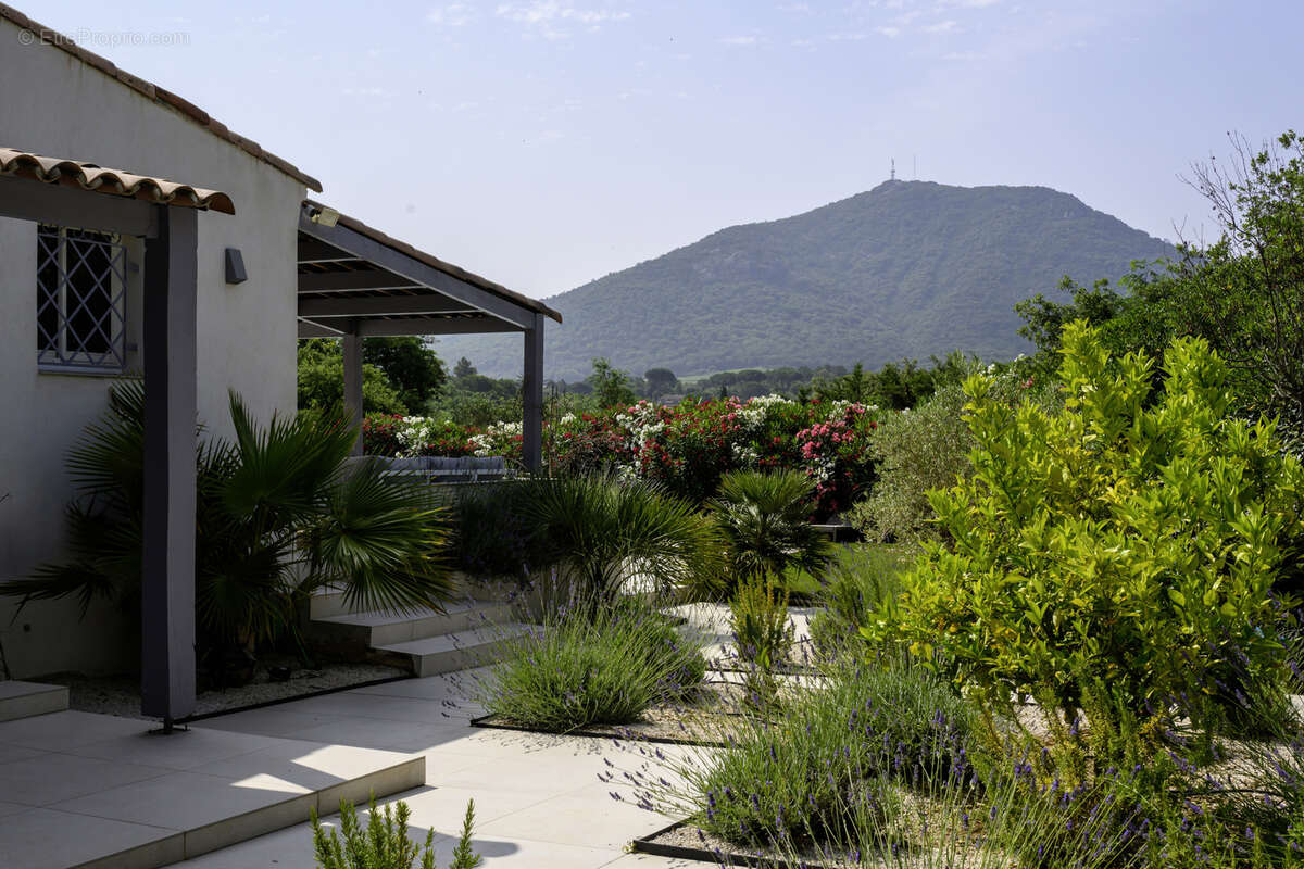 Maison à PLAN-DE-LA-TOUR