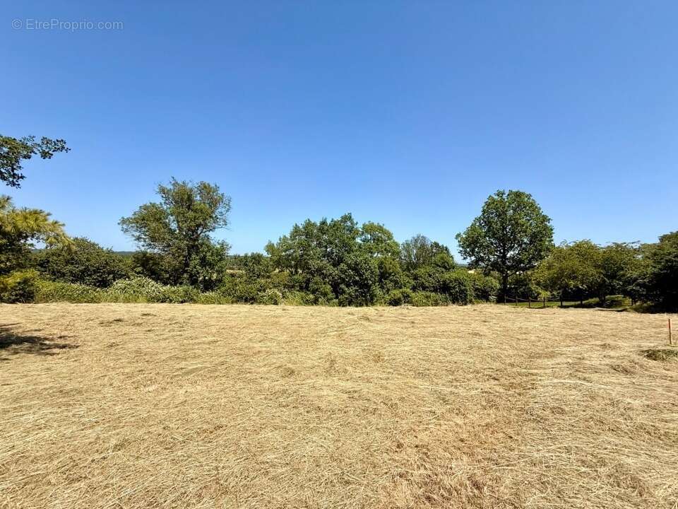 Terrain 1060 m² à Monmadales  - photo 3