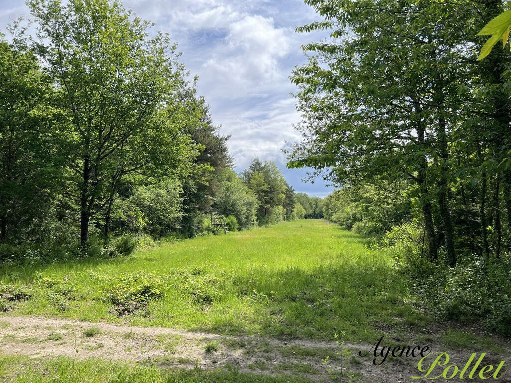 Maison à NEUVY-SUR-BARANGEON