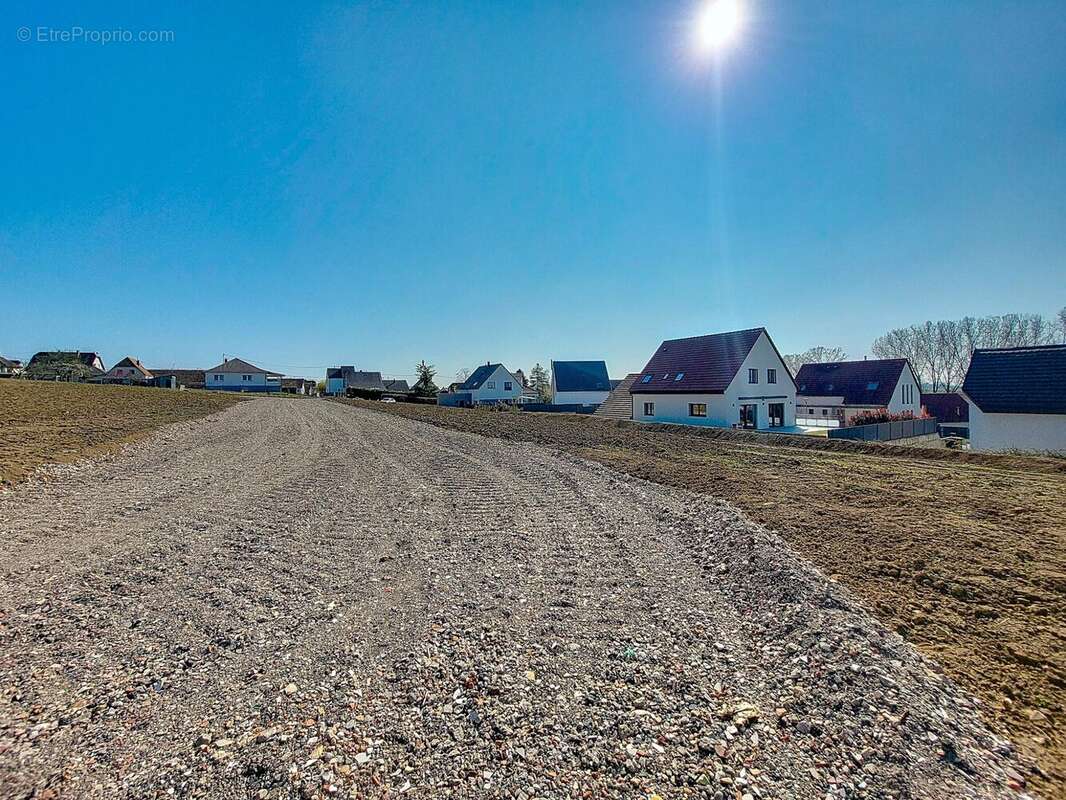 Terrain à SCHNERSHEIM