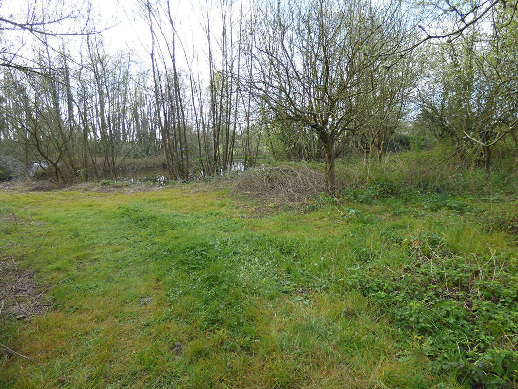 Terrain à SAINT-TRIVIER-DE-COURTES