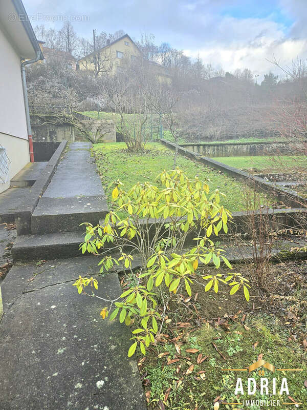 Maison à SAULNES
