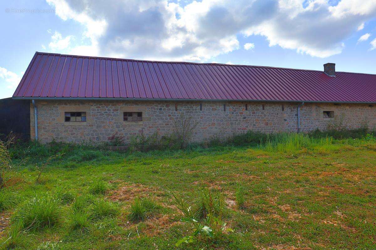 EXCLUSIF Propriete agricole avec 7 hectares possible 70 hectares en location - photo 9