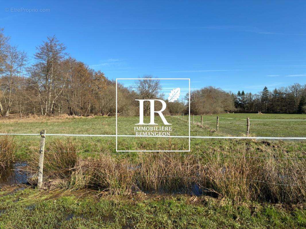 Propriete sur 16ha neuvy sur barangeon - photo 12