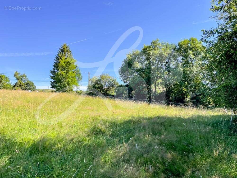 Terrain viabilisé (Lot 2)