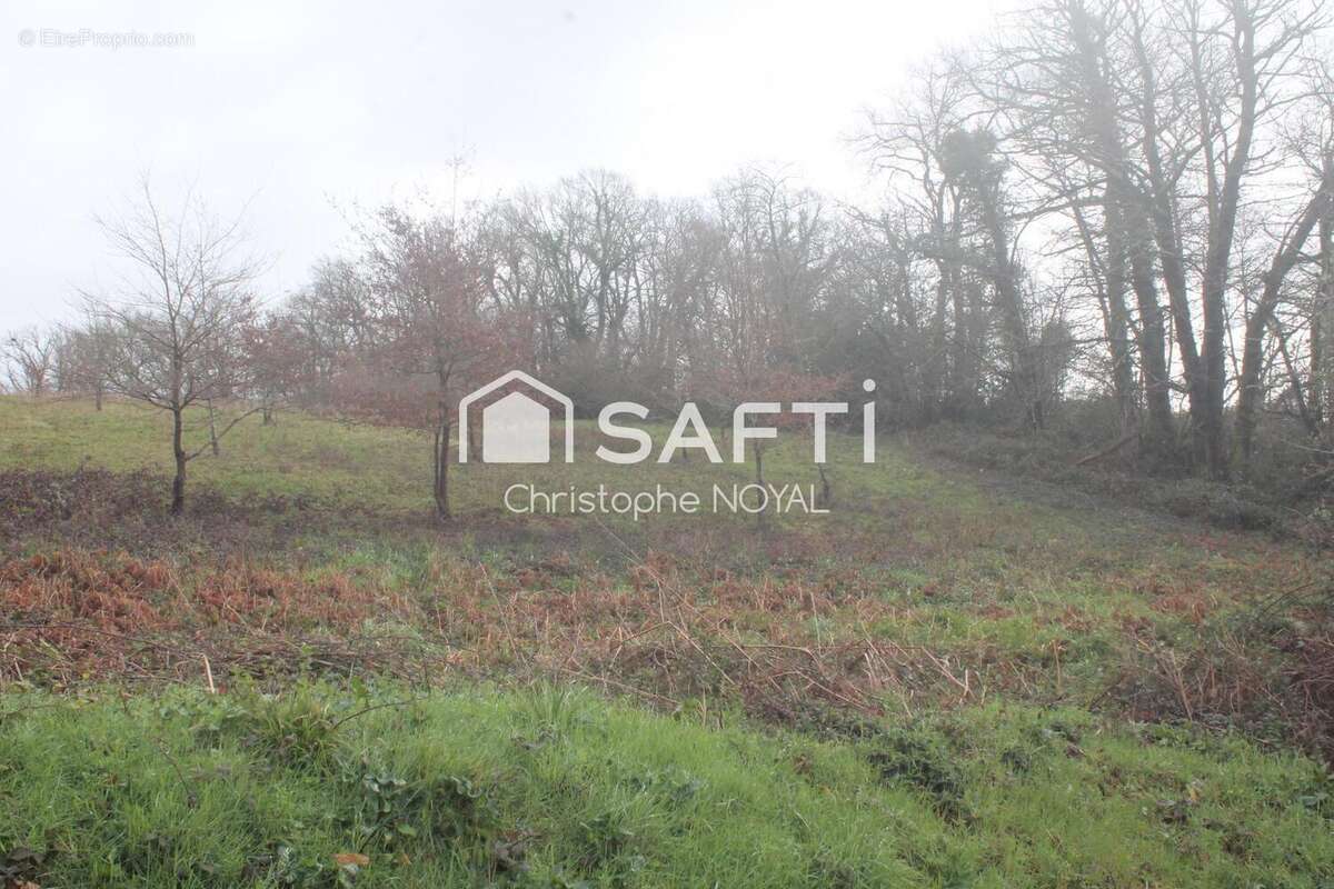 Photo 3 - Terrain à BOUMOURT