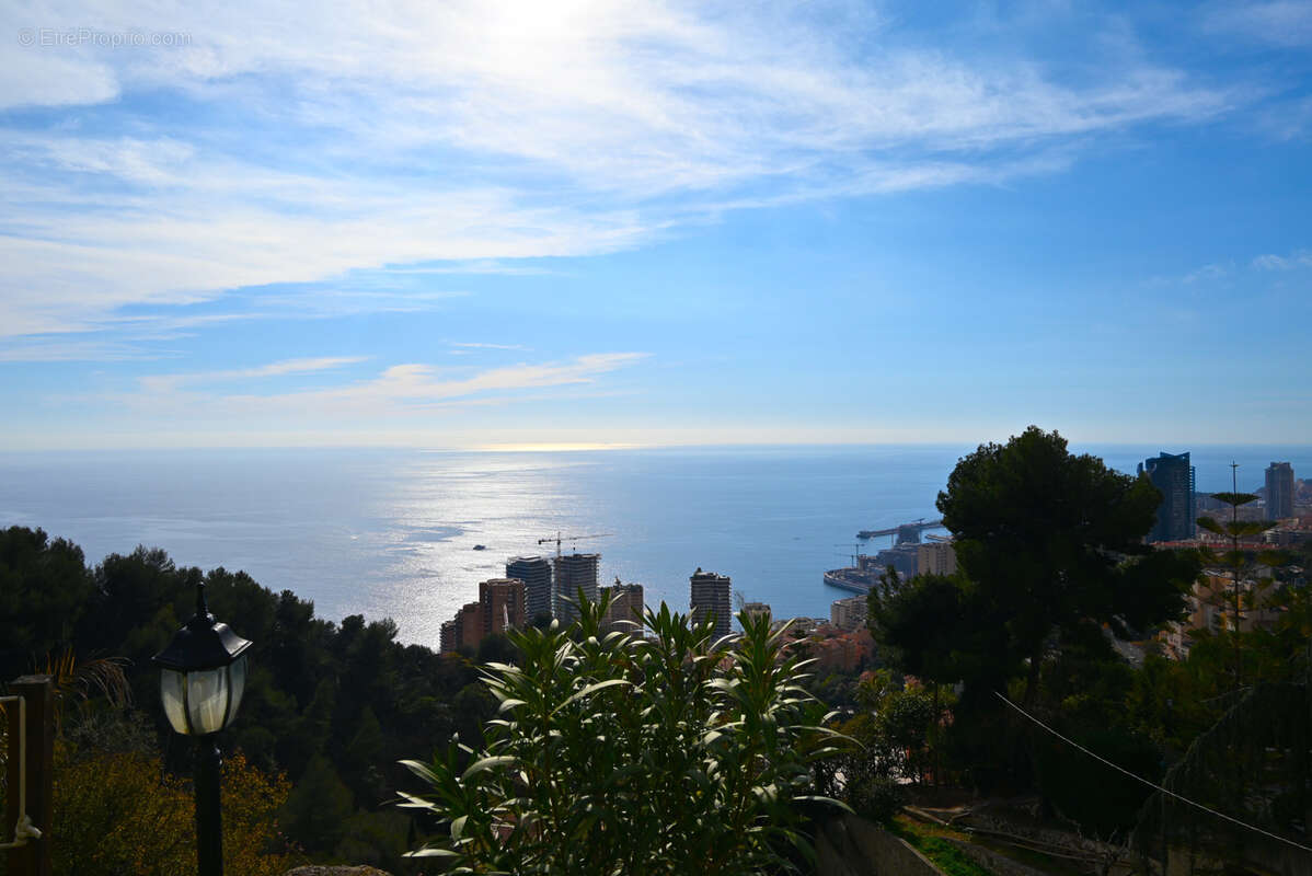 Belle Villa surplombant Monaco - photo 19