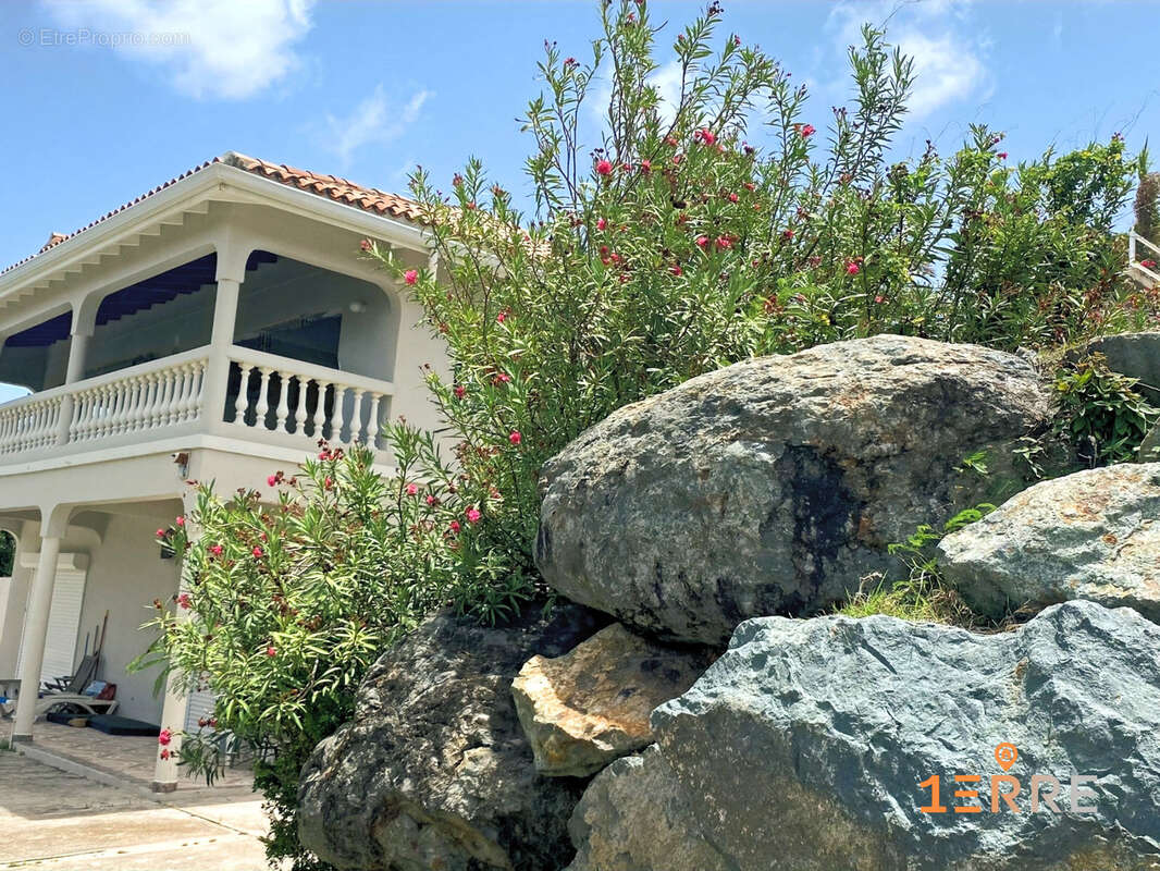 Maison à SAINT-MARTIN