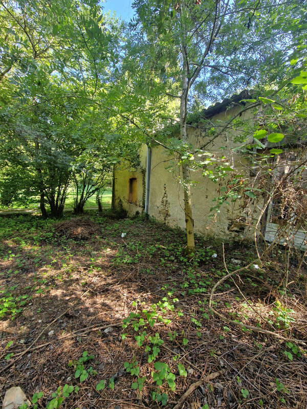 Maison à DOURGNE