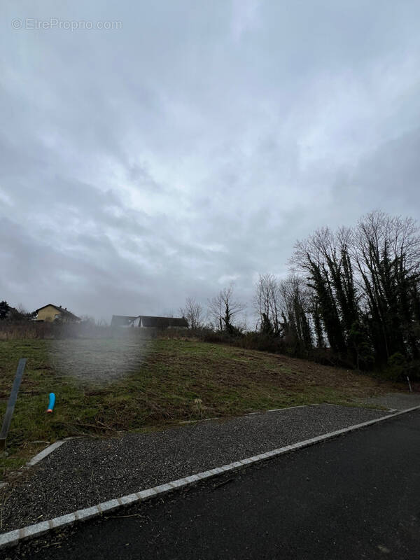 Terrain à BRUNSTATT