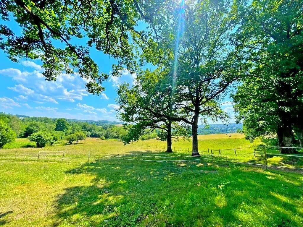 Exclusivité – Bourgogne, Morvan des Lacs – Secteur DUN-LES-PLACES - Une propriété de plus de 15 hectares, idéale pour une activi - photo 5