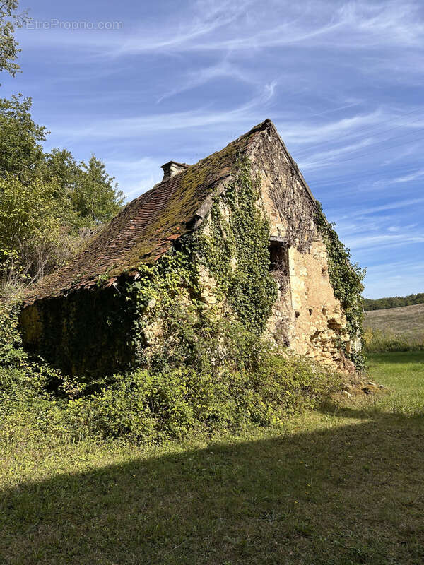 Maison à LE GRAND-PRESSIGNY