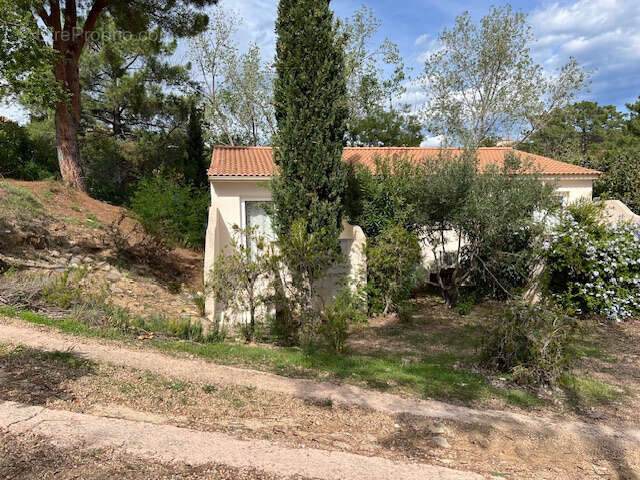 Appartement à SARI-SOLENZARA