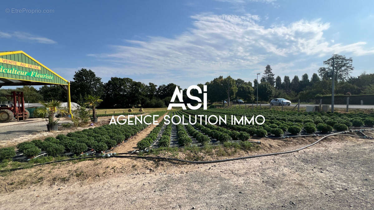 Terrain à LA FERTE-MACE