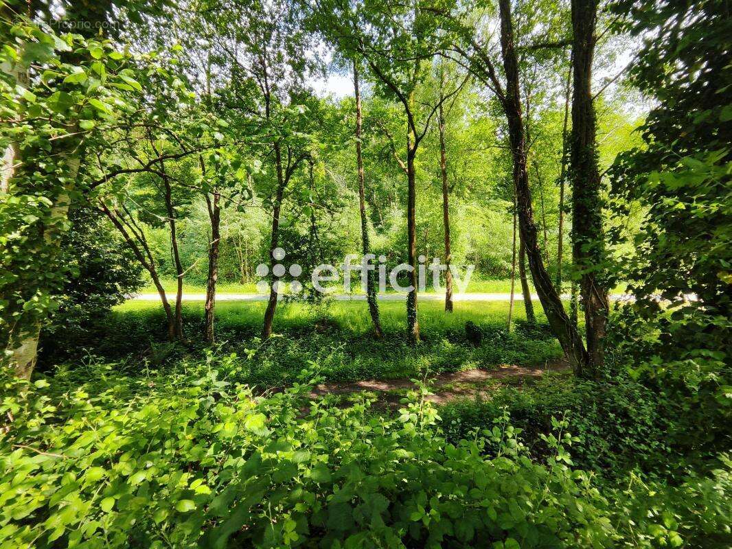 Appartement à LA FERRIERE-AUX-ETANGS