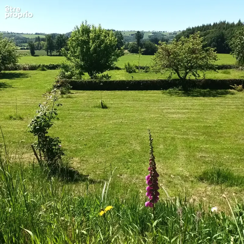 Maison plain-pied, restaurée, avec sous-sol et jardin, proche commerces et services médicaux - photo 23