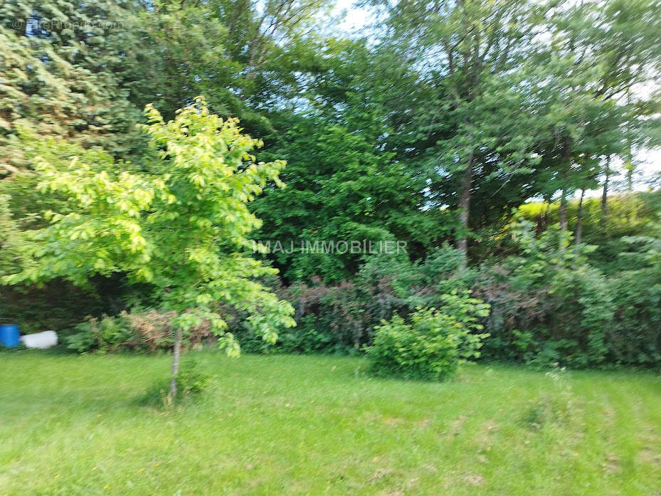 EPINAL - Maison à rénover   3 chambres  -  Terrain arboré de 1 291 m2 - photo 7