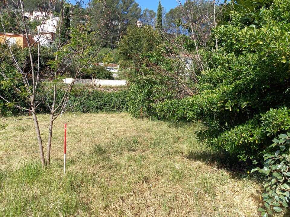 Terrain à SOLLIES-TOUCAS