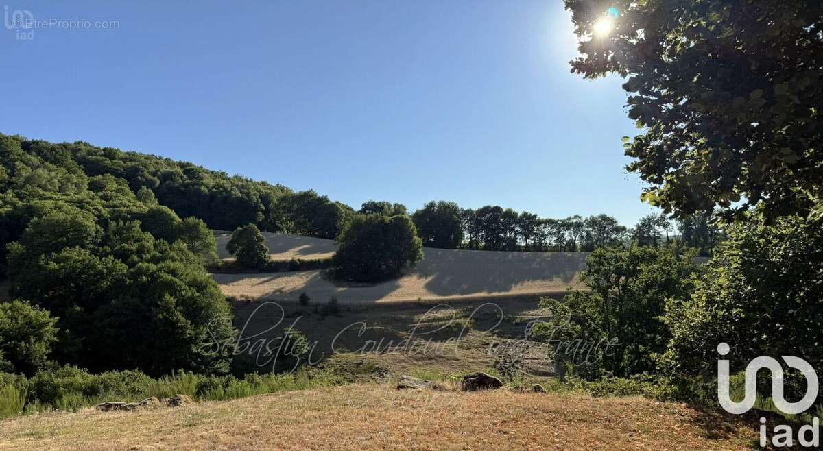 Photo 2 - Maison à SAINT-AMANS-DES-COTS