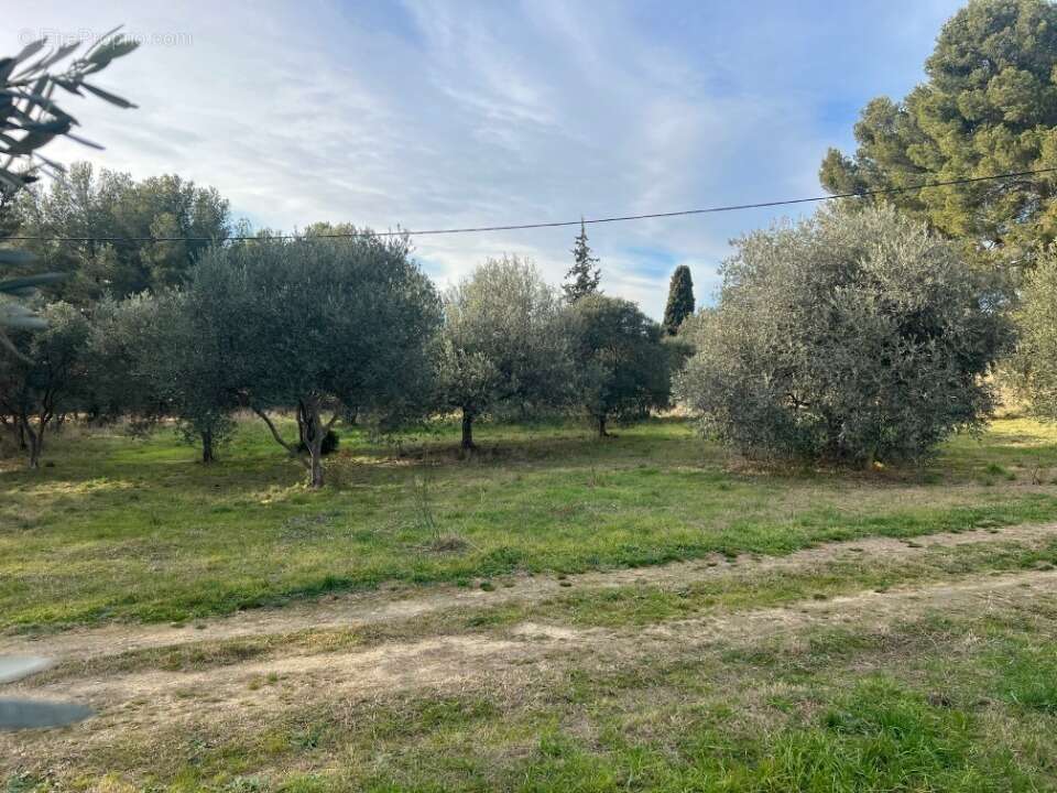 Terrain à SAINT-CHAMAS