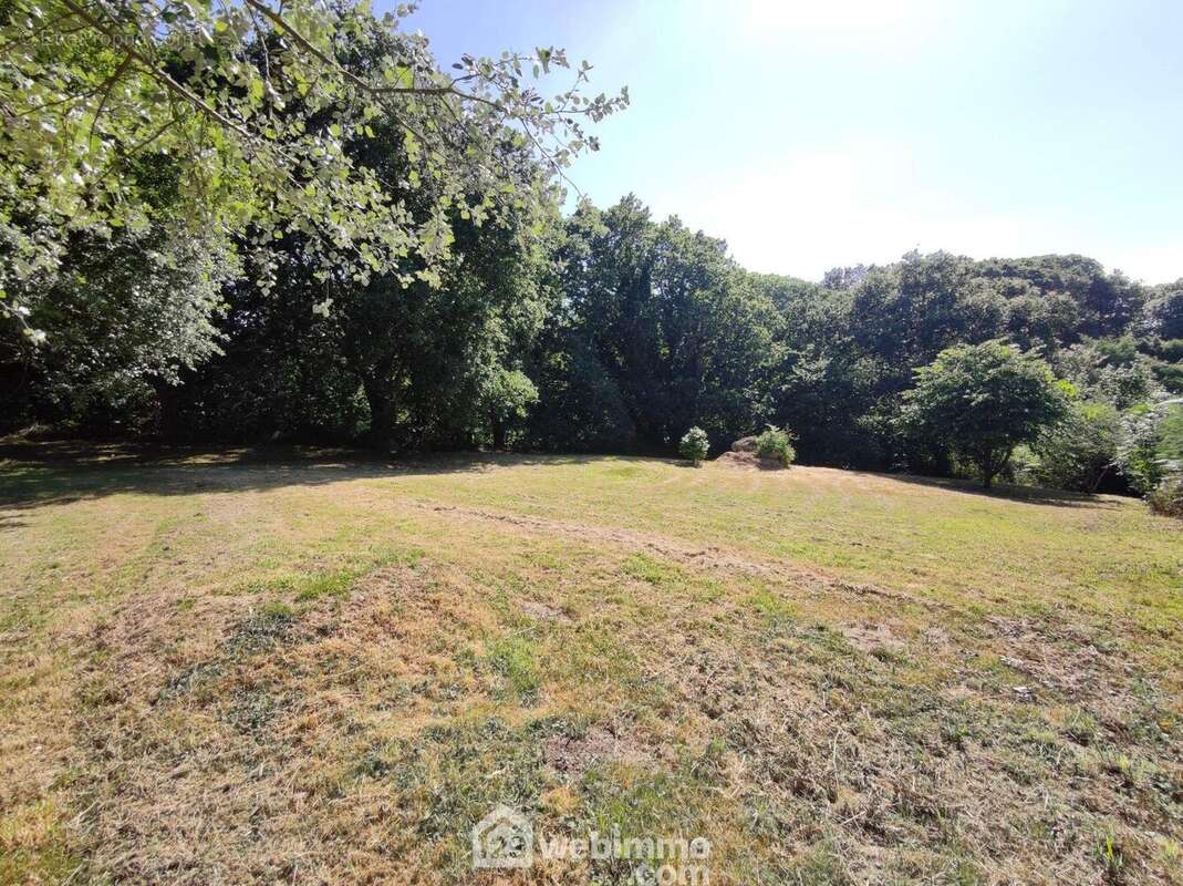 Terrain 1091 m² à Tredrez-Locquemeau  - photo 8