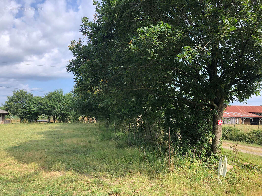 Entrepôt / Local industriel 385m² à vitré - photo 3