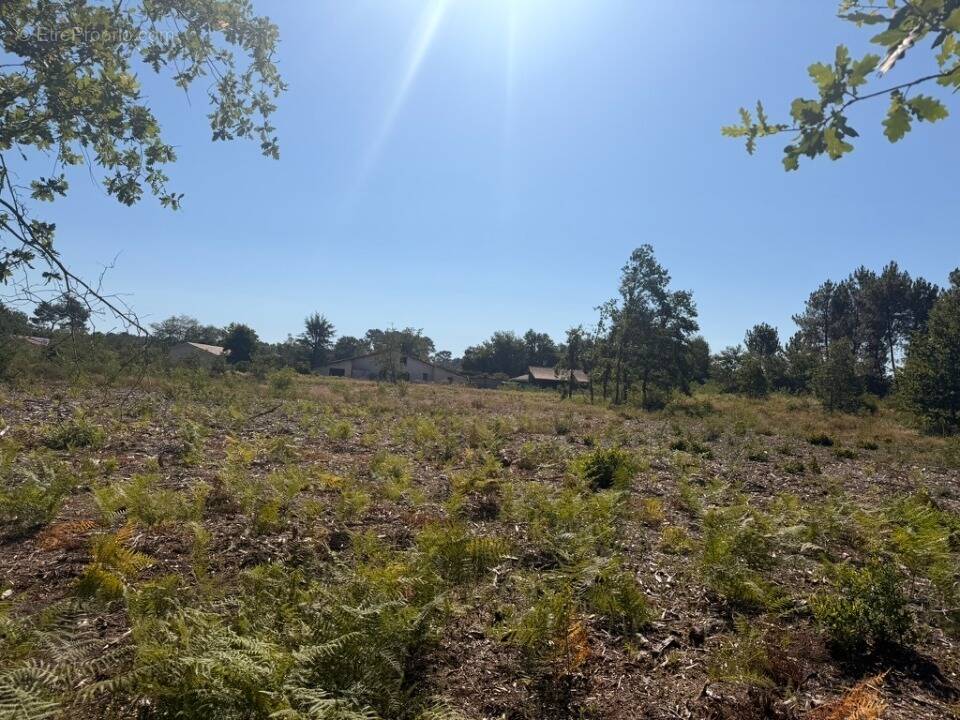 Terrain à LEOGNAN