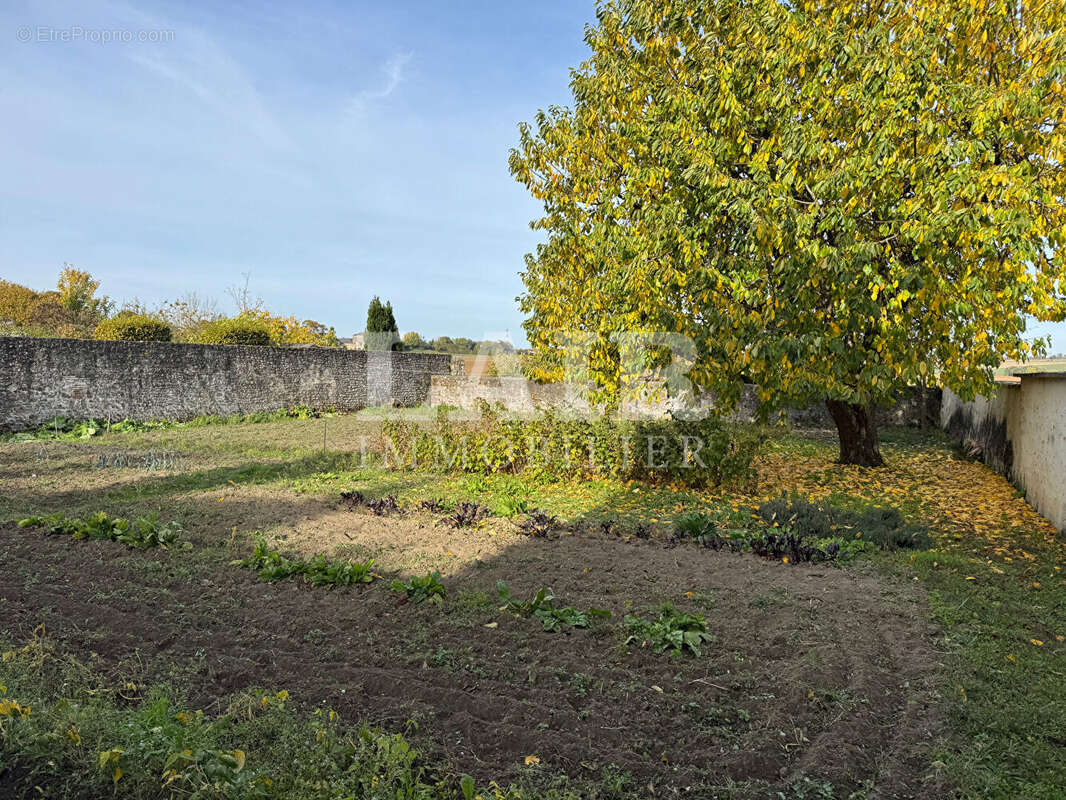 Terrain à MORTAGNE-AU-PERCHE