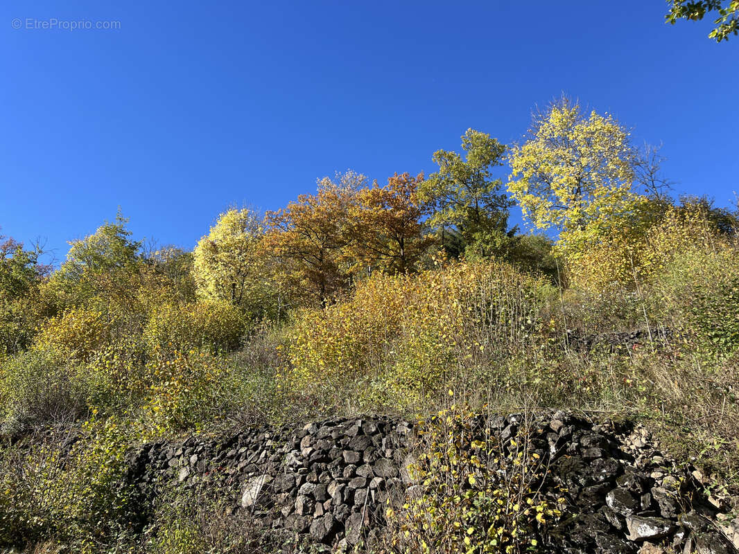Terrain à bâtir - photo 3