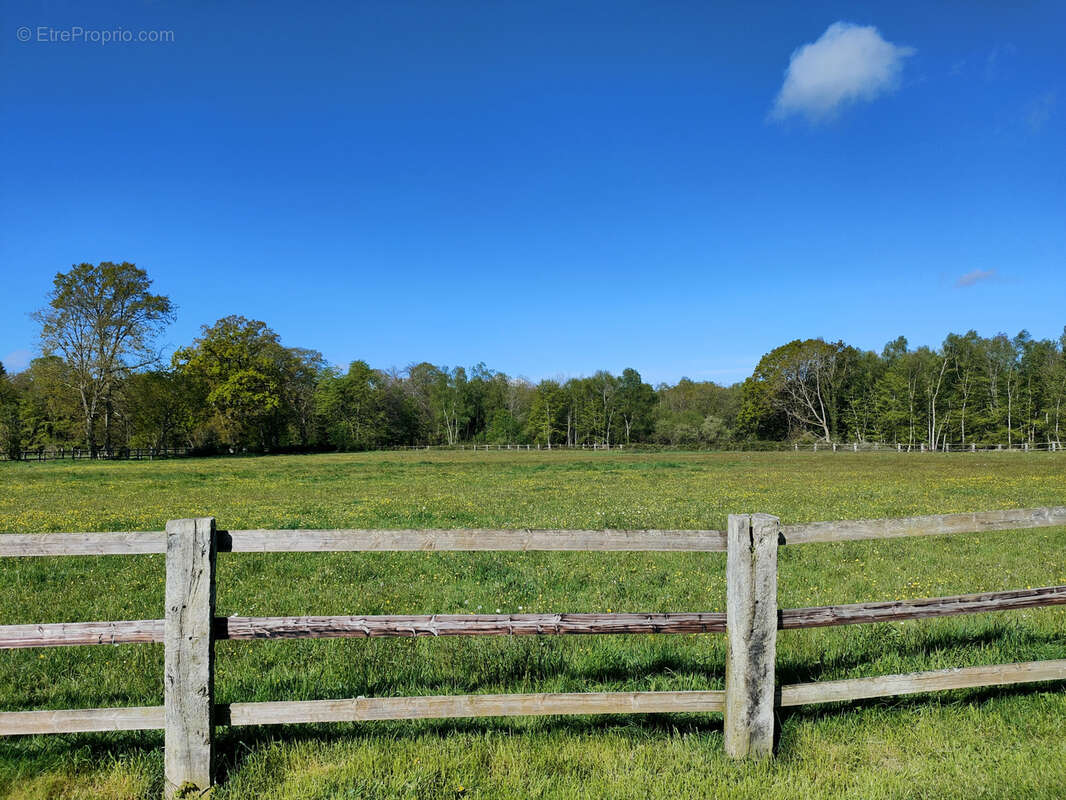 Propriété équestre avec 13 hectares - photo 40